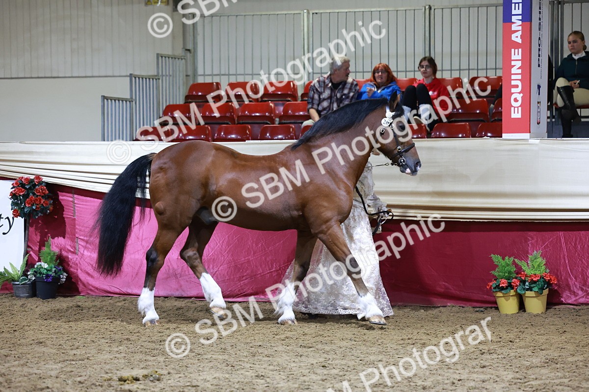 SBM_21416 - Class U - Costume Confour Champ