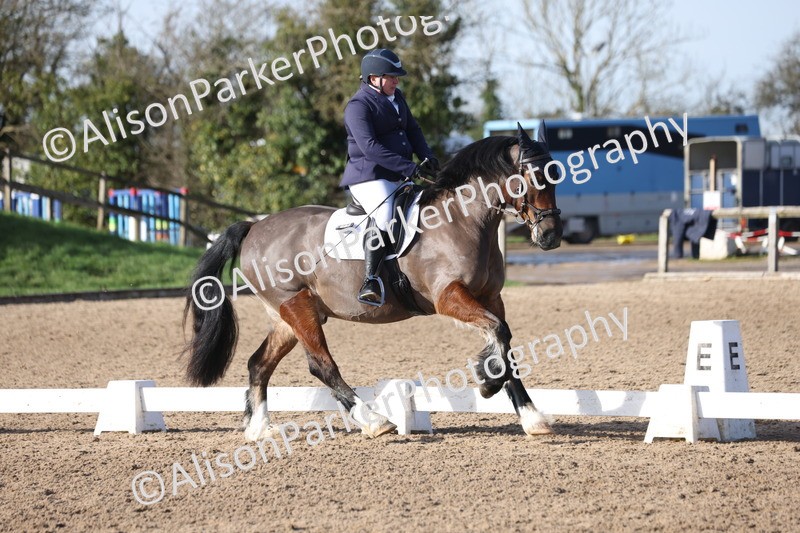 20260214-0577 - Class 5 - Novice 3