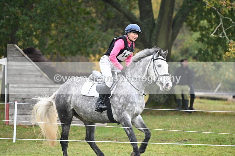 WJ6_2439 - 80cm Cam 1 Time 11:23 to 12:04