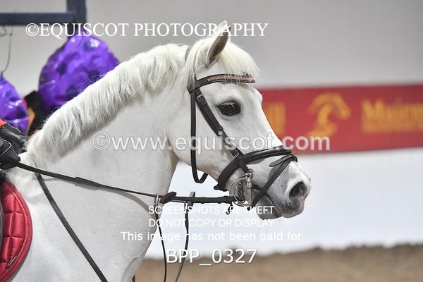 BPP_0327 - CLASS 4 50CM