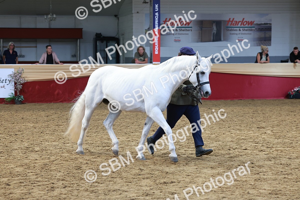 SBM_17479 - Class 951 - M&M IH Supreme Final