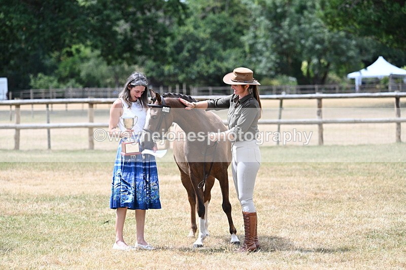 WJ7_2103 - Prettiest Mare Champs