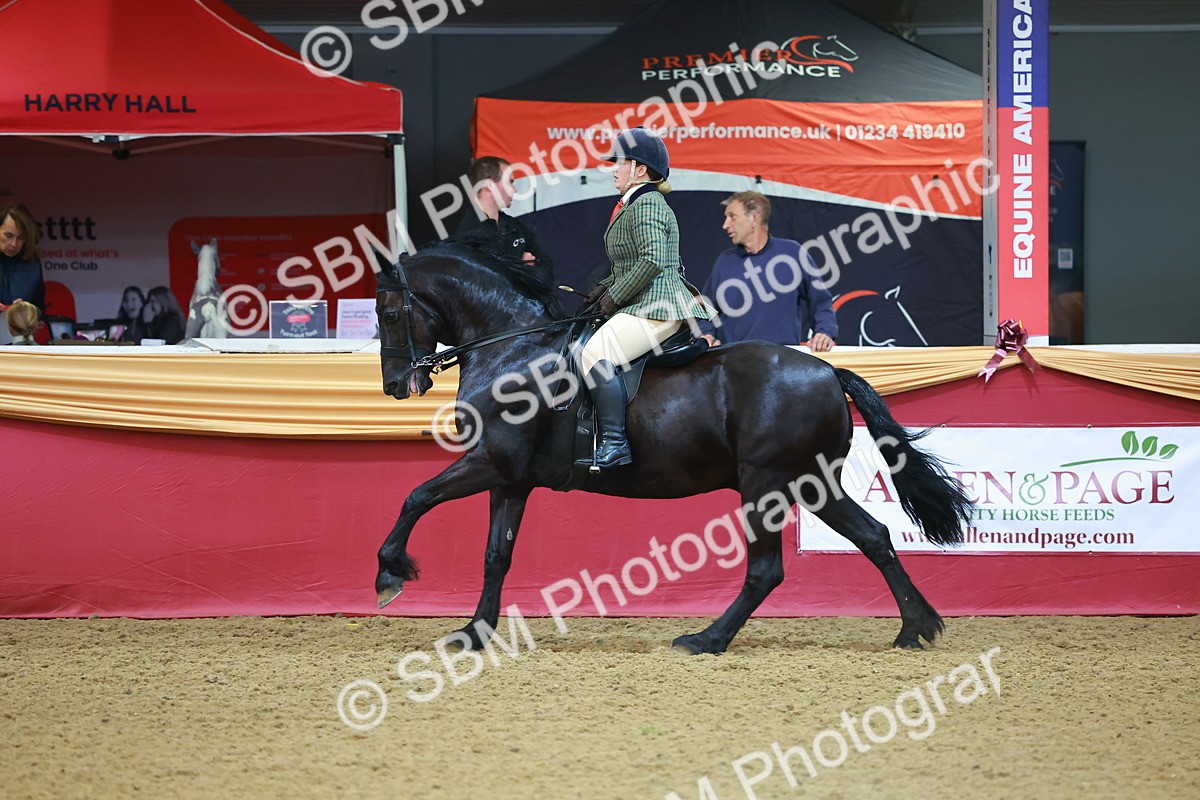 SBM_09731 - Class 102 - HOYS Veteran Qualifier - Ridden Veteran