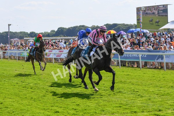 160623-Race 4-Chichester-0486 - Race 4 3.35pm Seat Unique Ganton Stakes