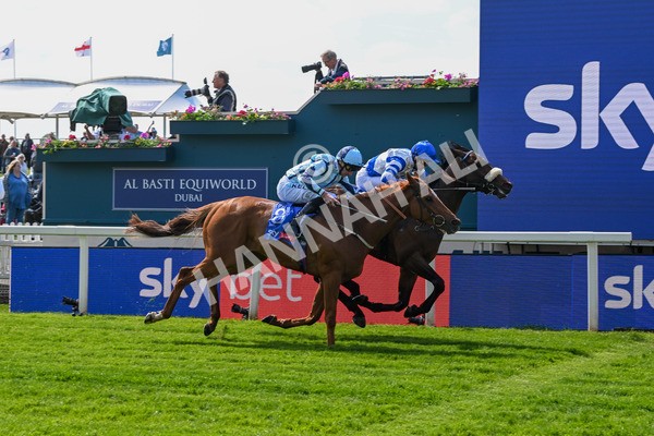 140525-Race 1-Almoshher-1603 - Race 1 2.10pm Sky Bet Race To The Ebor Jorvik Handicap