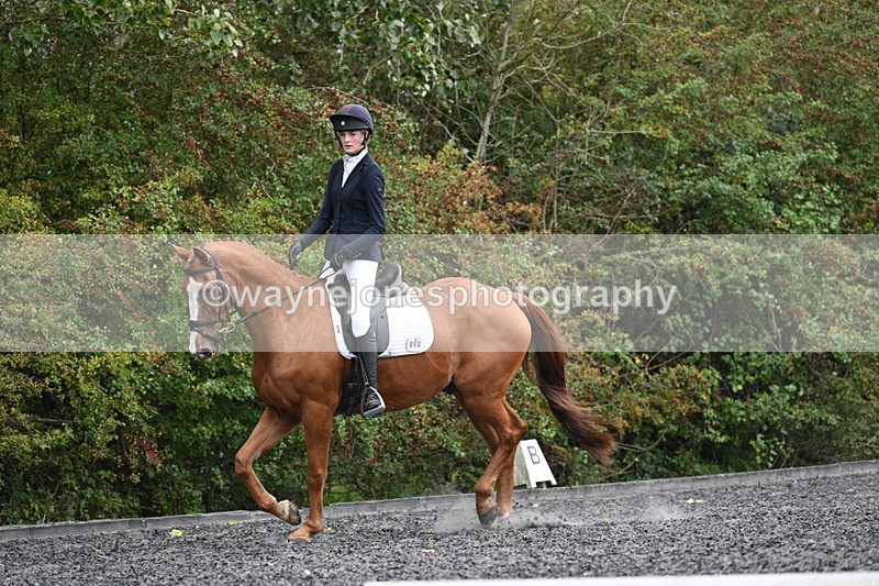 WJ7_6652 - Time 14:49 to 15:14