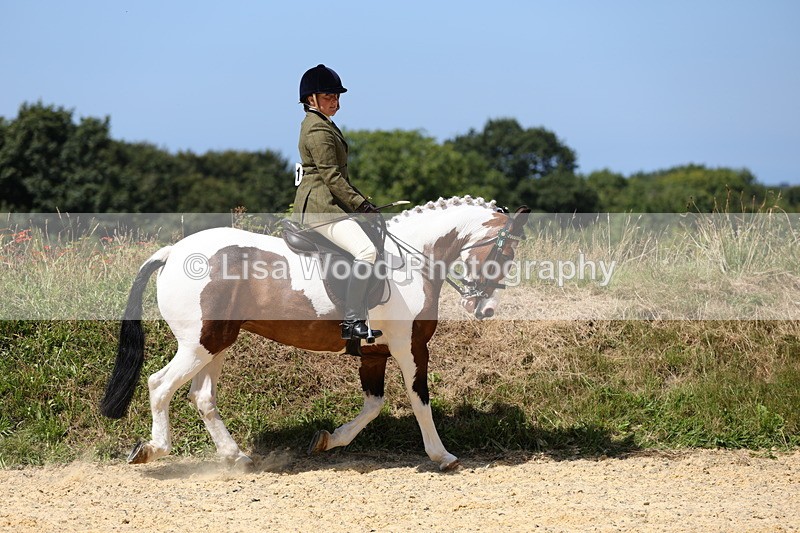 1X9A8659 - Class 22: Veteran