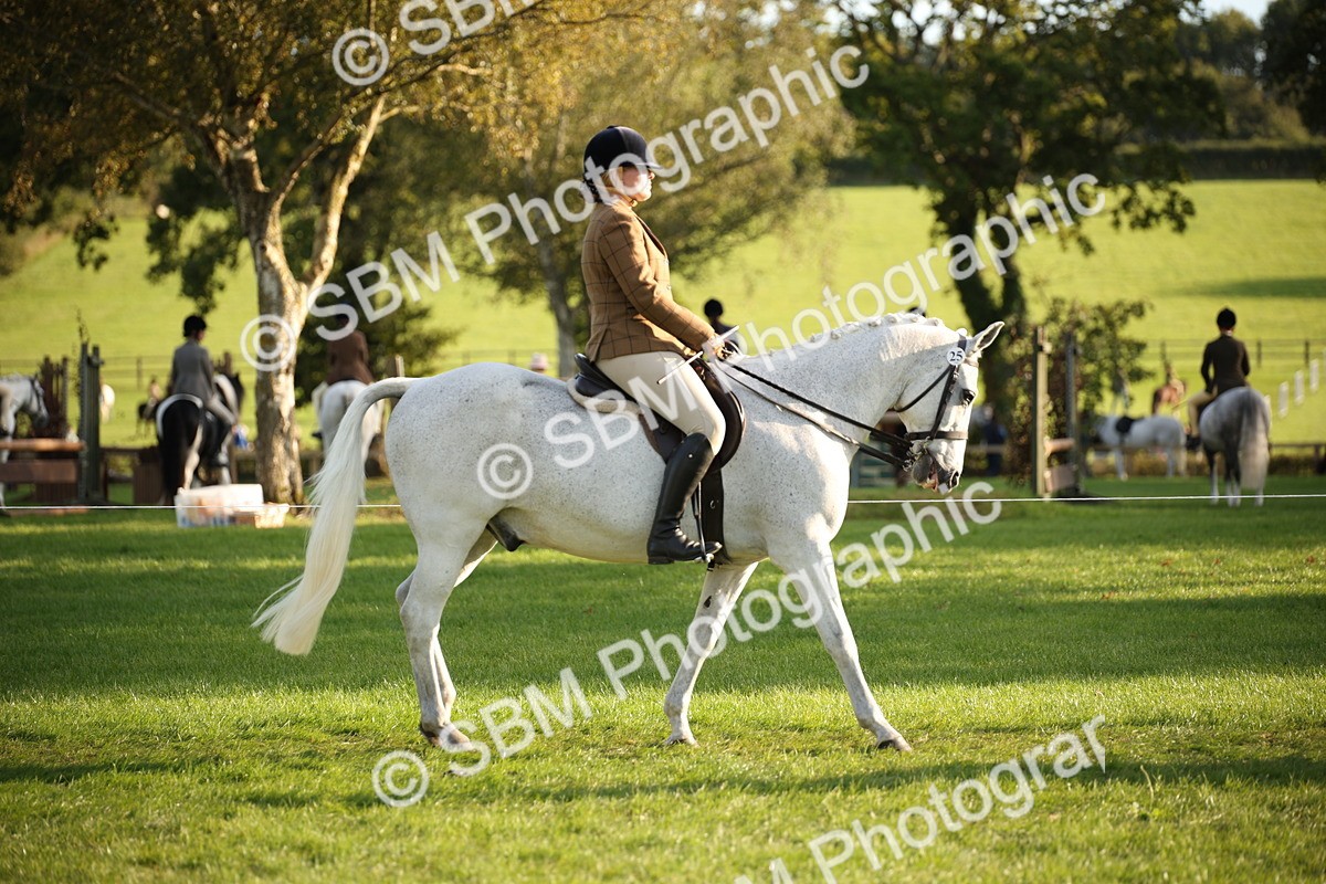 SBM_54376 - S27 - Mature Veteran - Ridden