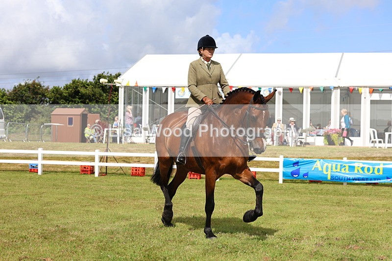 3E7A9394 - Class 4: Rising Star M/H Hunter