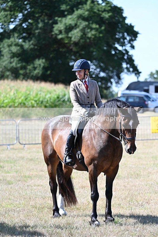 WJ7_3594 - Class 9 Mountain & Moorland Ridden
