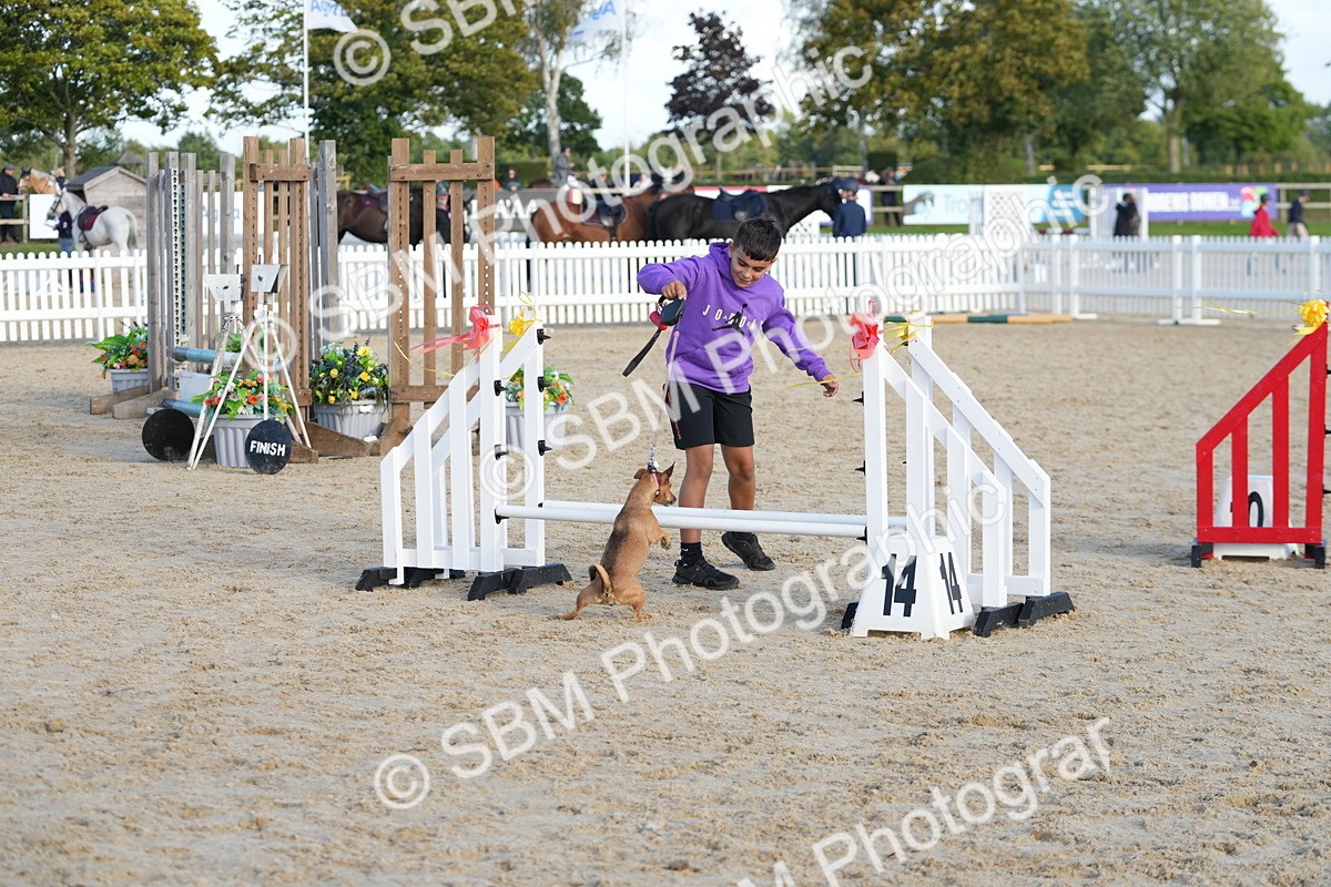 SBM_29101 - J43 - Horse & Hound Open 50cm