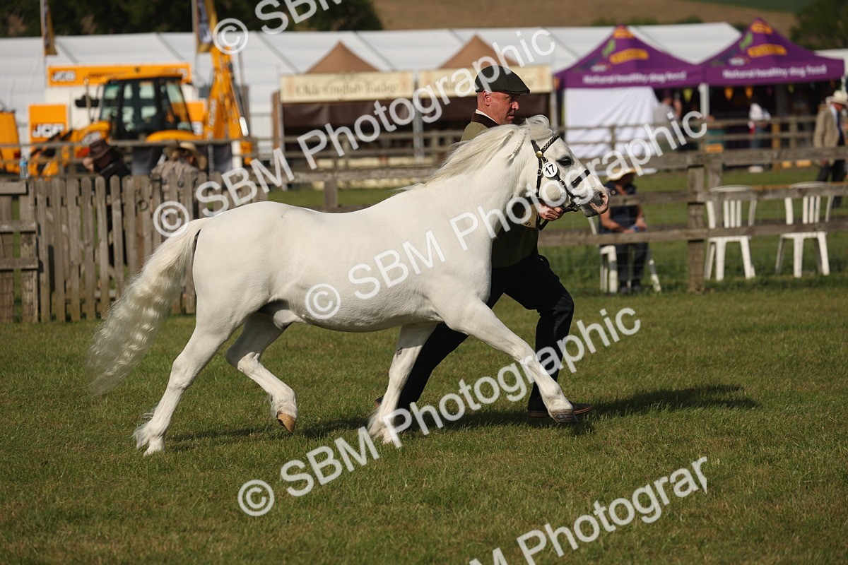 SBM_10379 - Class 33-38 - SSADL RIHS Qualifiers