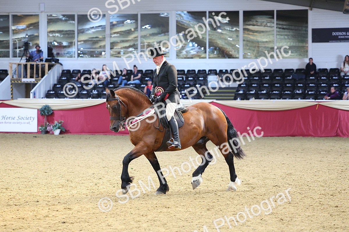 SBM_24711 - Class 906 - Supreme Final - Ridden Pre Vet