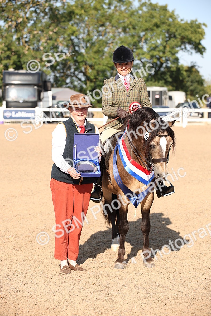 SBM_00768 - Class 14 Ridden M&M Wildcard