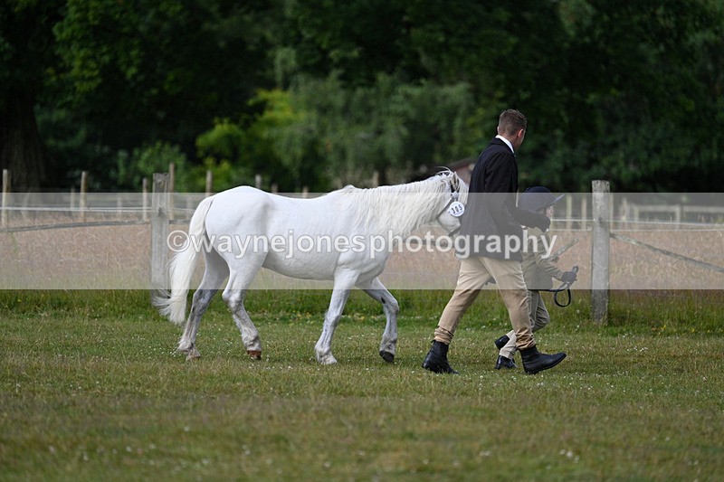 WJ7_4470 - Class 1 Lead Rein Pony