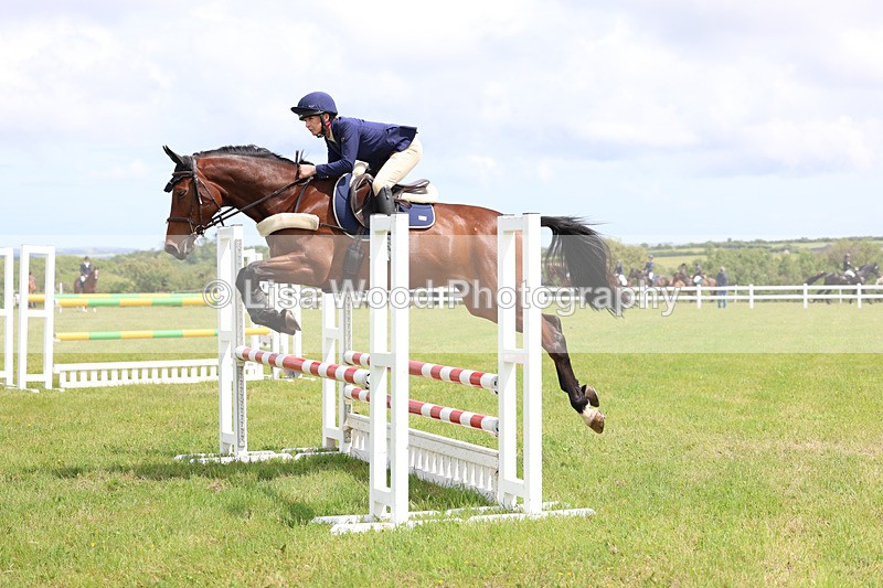 3E7A7395 - Class 13: Senior British Novice/90cm open