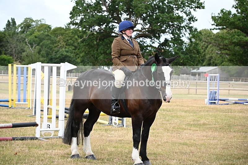 WJ6_4030 - Class 9 Tack & Turnout