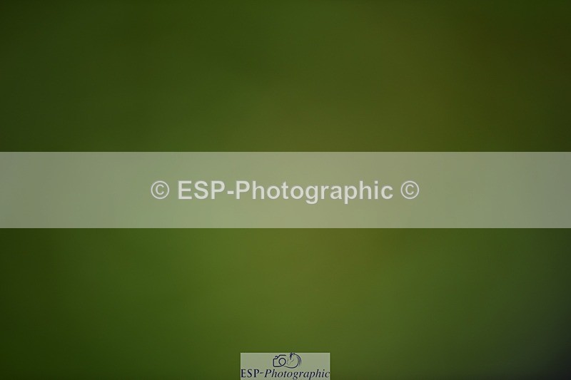 240605-112802-00774 - Cls 2 Prelim 19 SQ