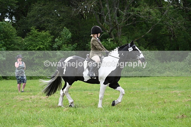 WJ7_2086 - Class 12A Coloured Class