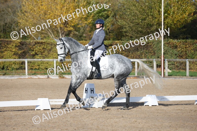 20251102-1179 - Class 6 - Elementary 6