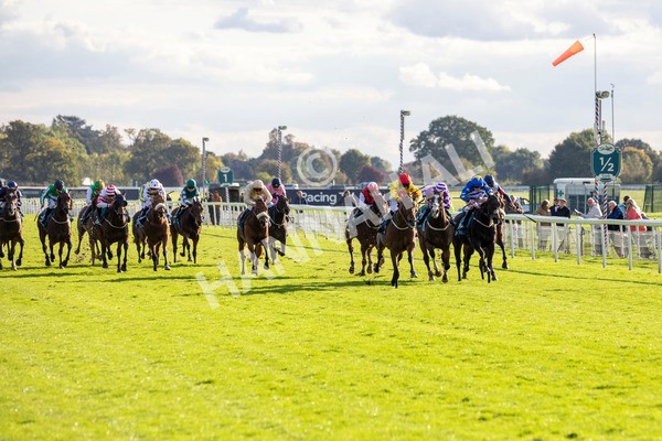 111024-Race 5-Vince LAmour-6951 - Race 5 3.45pm Copper Knight - Winning Most Horse At York Handicap