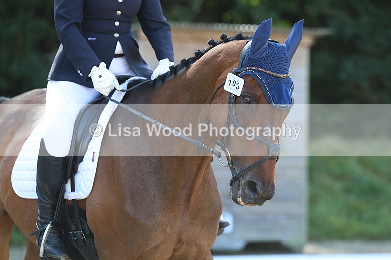 3E7A2563 - Class 1: Intro 4 2024 section A