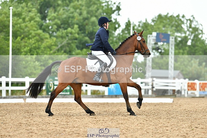 230708A-112650-02574 - Prelim 13