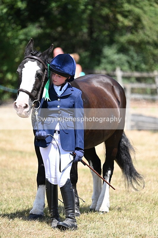 WJ7_2267 - Class 5 Most Handsome Gelding (up to 14.2hh) in hand