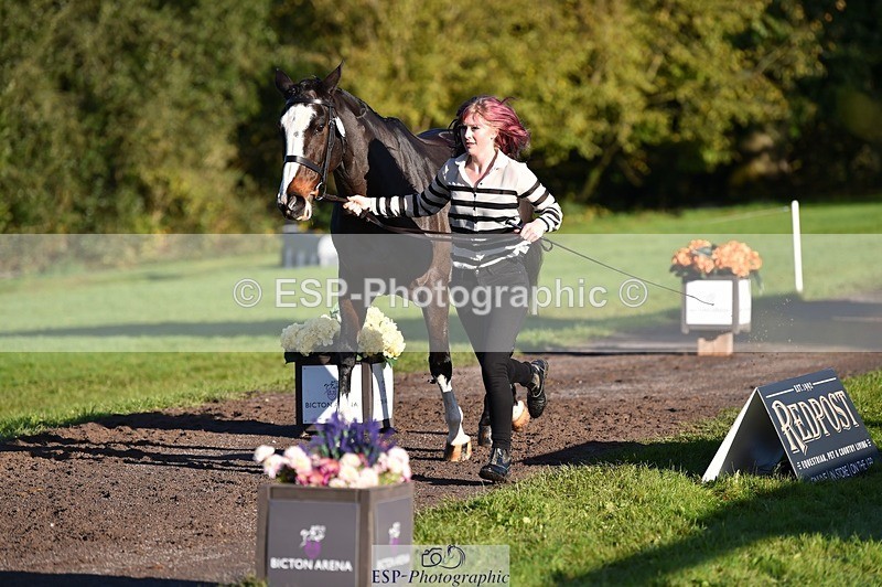 231022-093802-21931 - 427-COMBE.BREEZE-Gemma.Wells-TrotUp+SJ