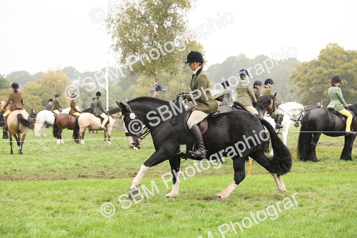 SBM_69814 - S69 - Show Cob Ridden