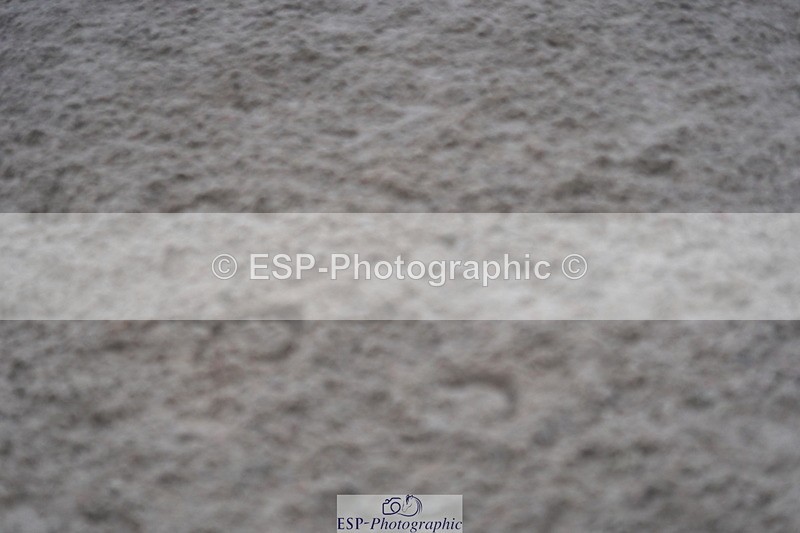 231017A-145100-07445 - Cls 29 Snr Foxhunter