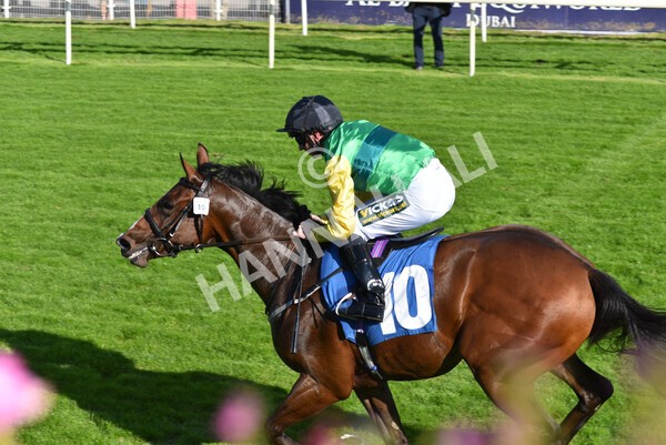 yr08102021r2-23 - Race 2 2.40pm Racing to School EBF Novice Stakes