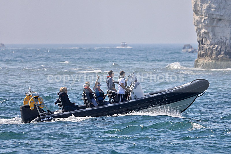 190824 BLACK RIBCRAFT 1Y3A9992 - RIBs, Tenders, Dories, Dinghies