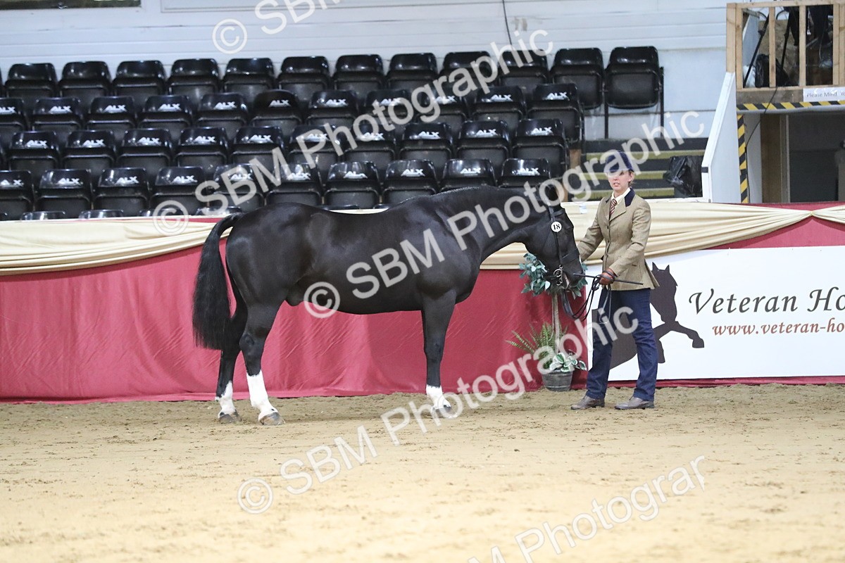 SBM_06330 - Class 9R Regional- IH Pre Vet