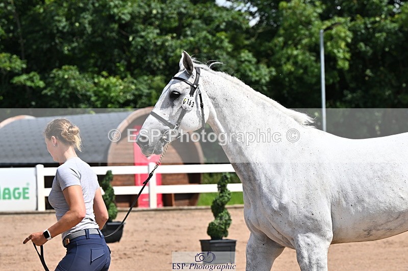 240718A-105239-00971 - Trot Up 11am to 12pm