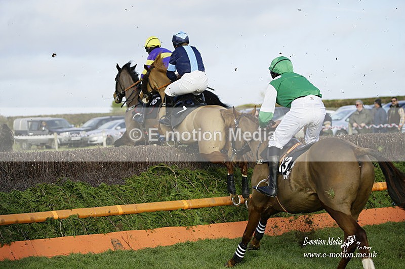 PtP 300122 375 - South Dorset Hunt - Point-to-Point Races 30/01/2022