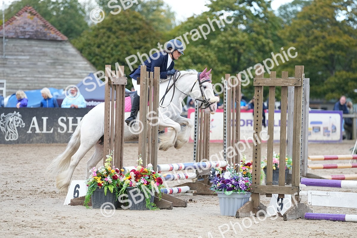 SBM_20669_J49 - Open 50cm - Kelly