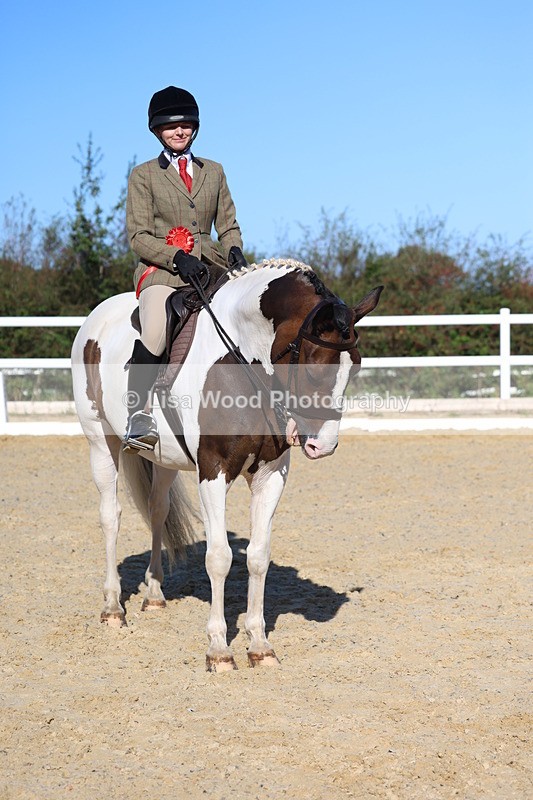 3E7A5338 - Class 8: Small Ridden Hunter