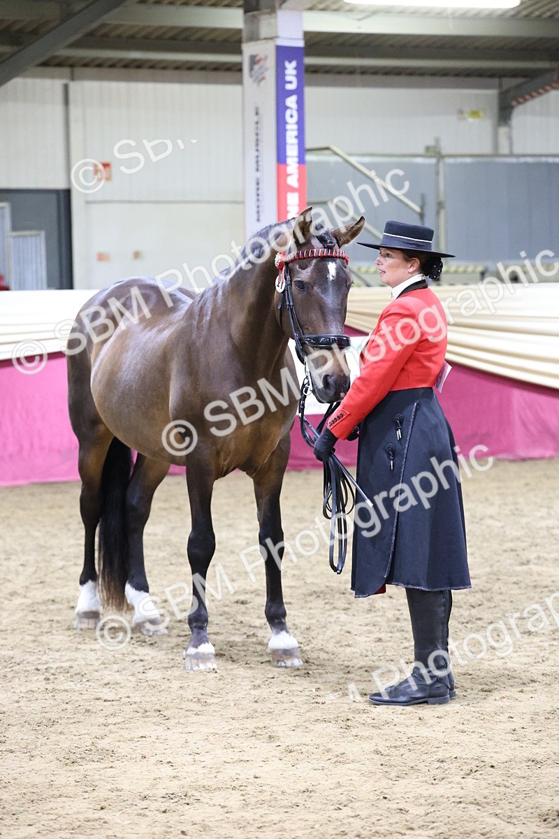 SBM_20730 - Class J - Foreign Breeds Champ