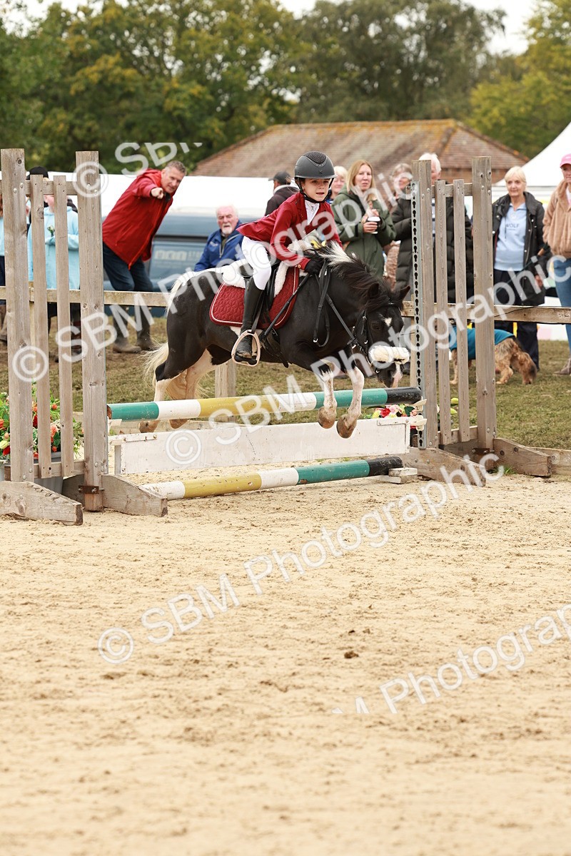 SBM_61947 - J12 - Junior Pony 55cm Championship