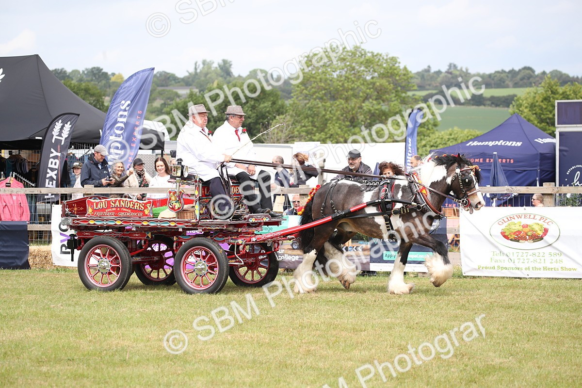 SBM_06983 - Class 16 - Light Trade