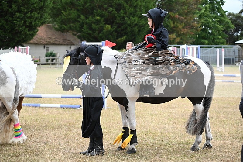 WJ6_9263 - Class 11 Fancy Dress