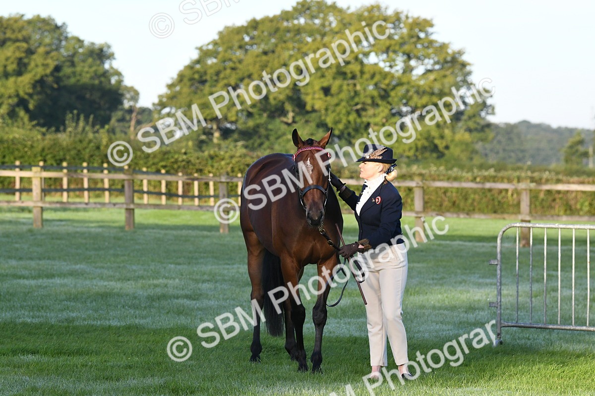 SBM_32576 - S15 - Condition & Turnout In Hand