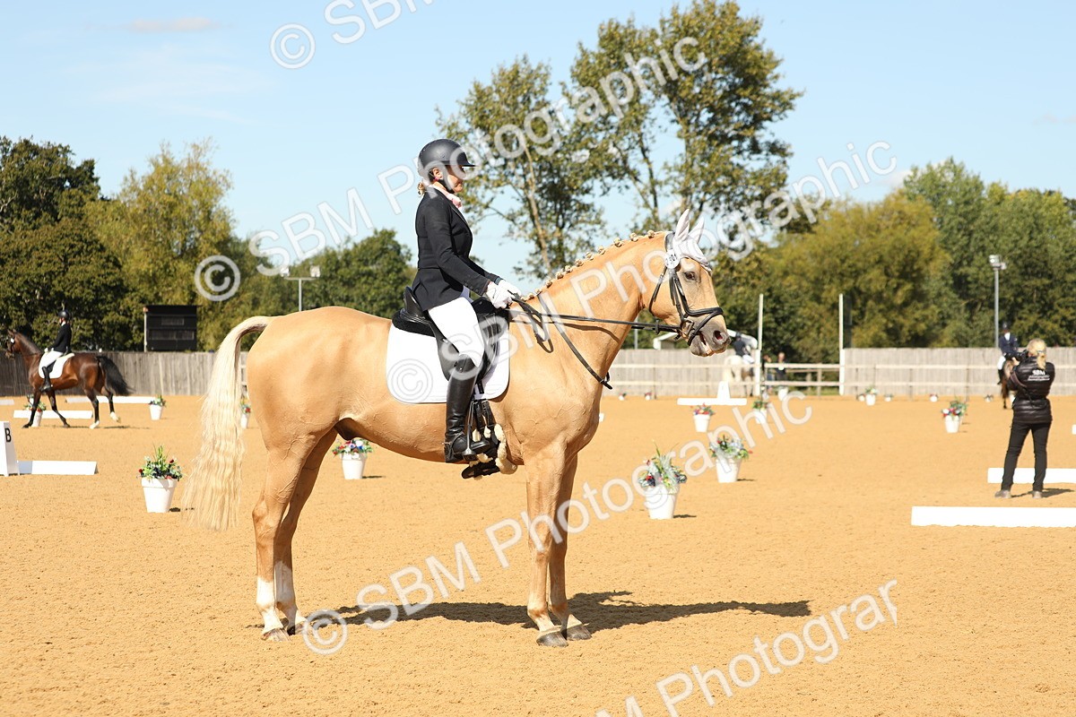 SBM_22337 - D17 - Grand Tour Championship - Novice 27
