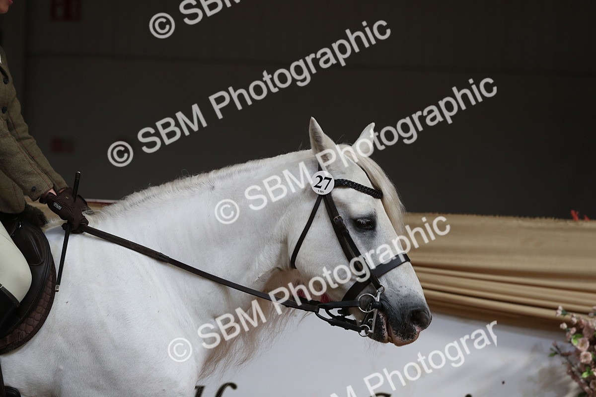 SBM_07157 - Class 10R Regional Ridden Diamond