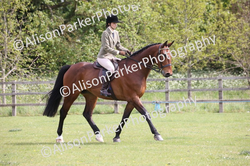 20260426-4328 - Class 34 - Best Riding Horse Over 14.2hh