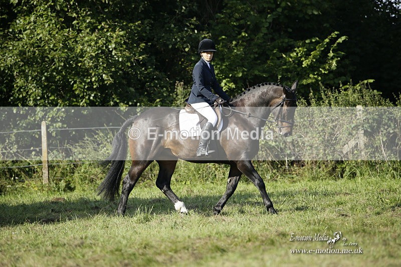 BVRC 120921 137 - Bourne Valley Riding Club UA Dressage & Show Jumping 12/09/21