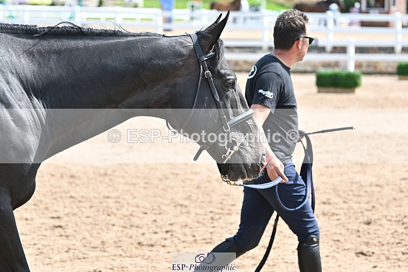 240717A-151325-02656 - Trot Up 3pm to 4pm