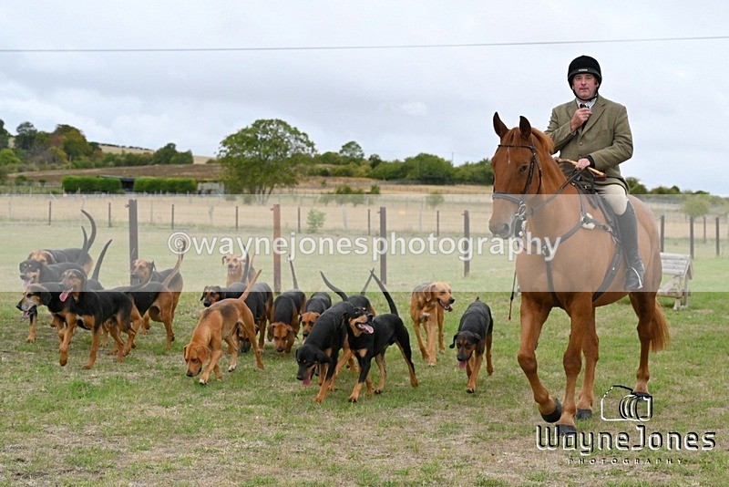WJ7_0635 - Berks & Bucks Hound Exercise Blewbury 13-09-26