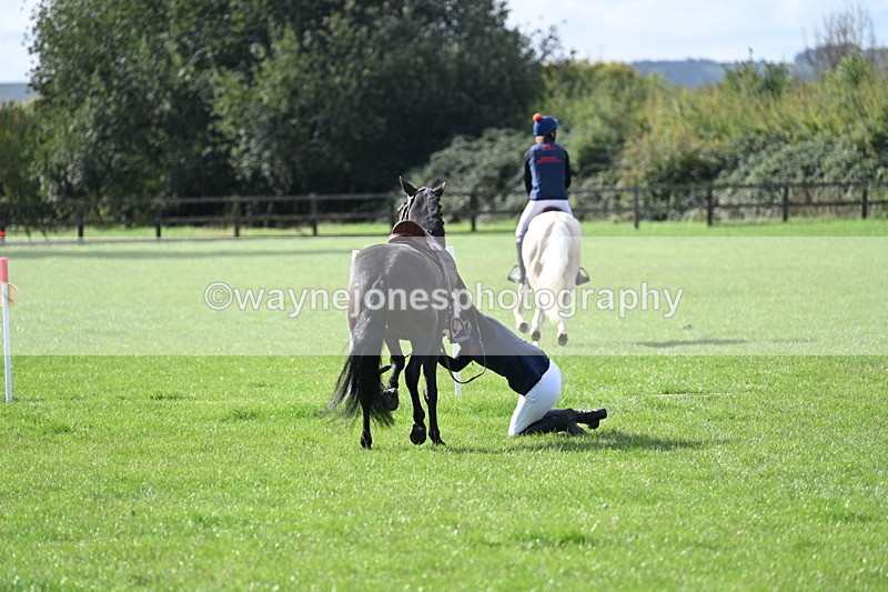 WJ7_8547 - 60cm Pairs